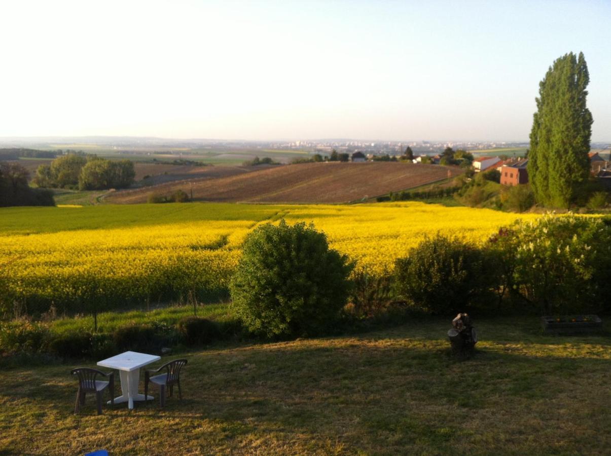 Villa Reims Epernay Champagne Vineyard Villers-Allerand Eksteriør bilde